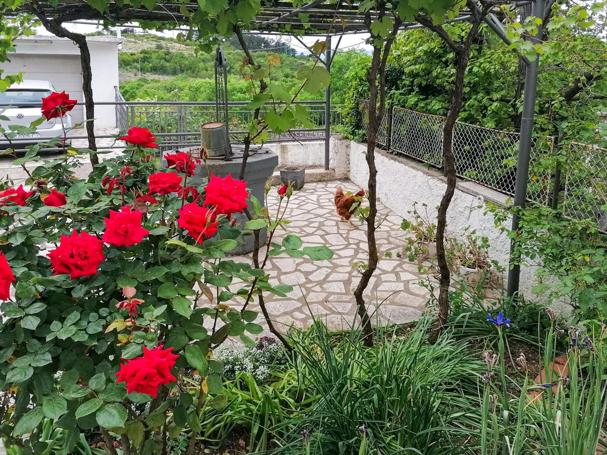 Apartman Lavanda Sa Bazenom I Okucnicom 4* Hreljin Екстер'єр фото