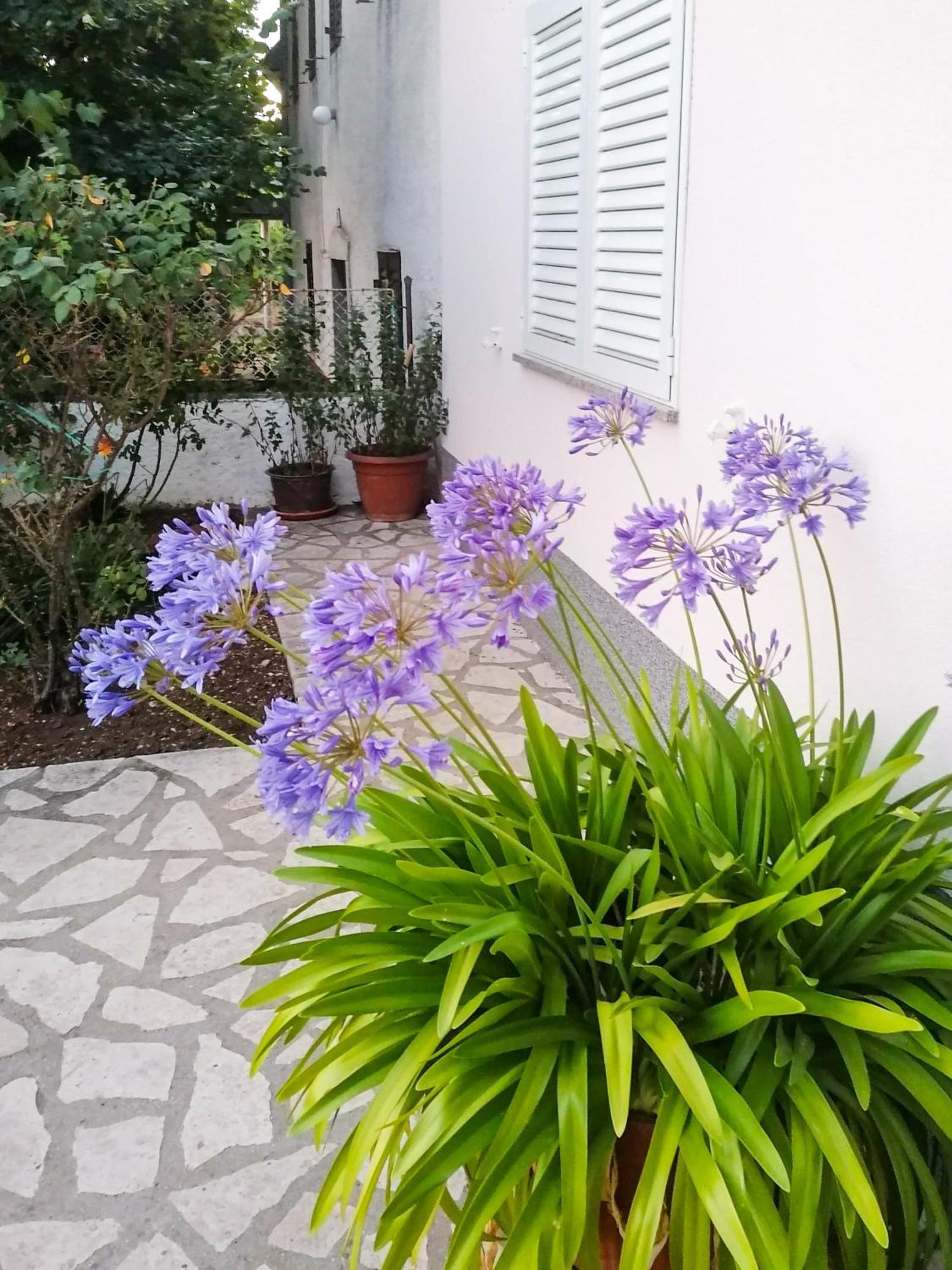 Apartman Lavanda Sa Bazenom I Okucnicom 4* Hreljin Екстер'єр фото